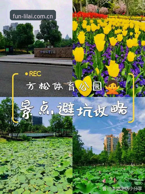 避开赛程推送的3个常见坑，利来体育综合的这份避坑指南值得一看